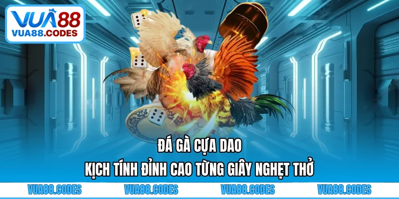 Đá Gà Cựa Dao - Kịch Tính Đỉnh Cao Từng Giây Nghẹt Thở
