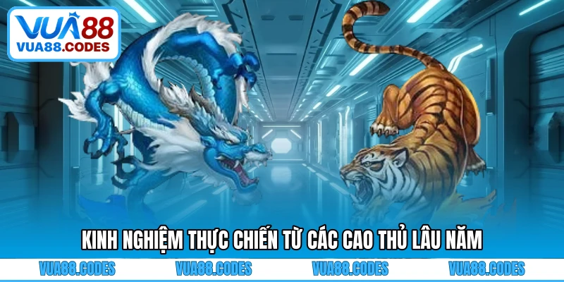 Kinh nghiệm thực chiến từ các cao thủ lâu năm
