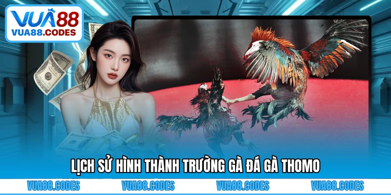Lịch sử hình thành trường gà đá gà Thomo