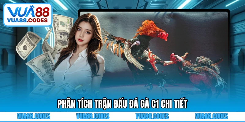Phân tích trận đấu đá gà C1 chi tiết