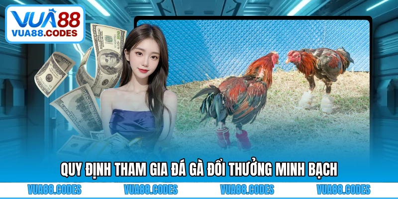 Quy định tham gia đá gà đổi thưởng minh bạch