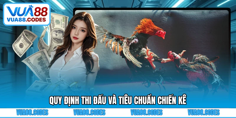 Quy định thi đấu và tiêu chuẩn chiến kê