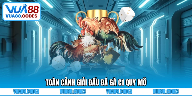 Toàn cảnh giải đấu đá gà C1 quy mô